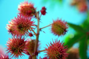 Odszkodowania ubezpieczeniowe